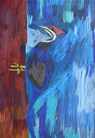 Pileated Woodpecker by Jerry Turner