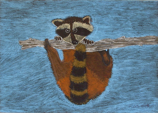 Rocky Raccoon