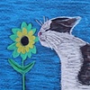 Sunflower Kitty