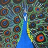 BIRDS GALORE!