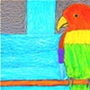 Colorful Parrot by Amanda Weaver