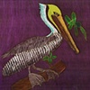 Polly the Pelican by Michelle Aliotti