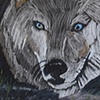 Cave Wolf