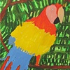 Macaw on a Tree Limb