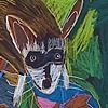 Indian Raccoon