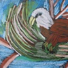 Baby Bald Eagle by Charles Unser