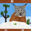 Snowy Lynx