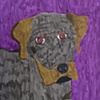 Homer