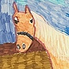 Palamino