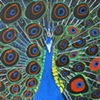 Peacock by John Tone