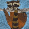 Rocky Raccoon