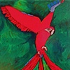 Parrot tray top