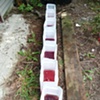 Washing and rinsing the dyed skeins