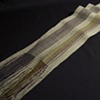 Bamboo Color Study