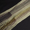 Bamboo Color Study