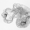 Anne Allen