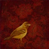 Yellow Bird, Red Flowers