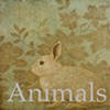 Animal Paintings