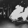 Untitled (bonfire)