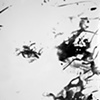 chaos