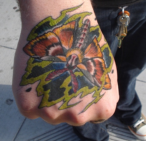 Moth Hand!