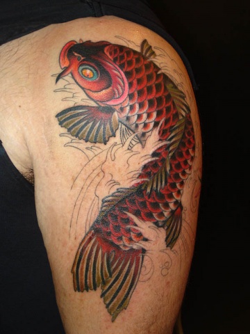 Koi