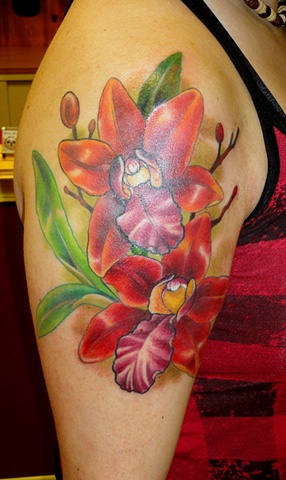 Red Orchids