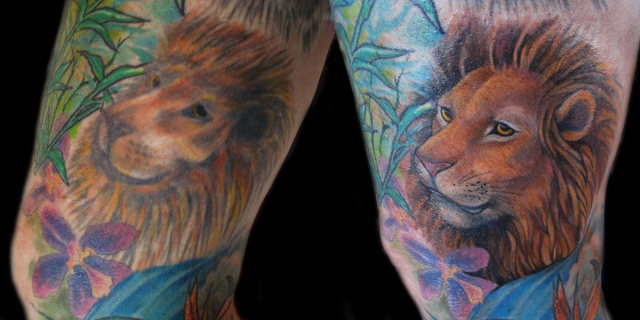 Lion Rework