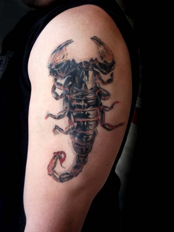 Scorpion