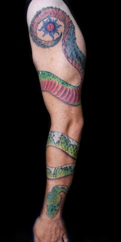 Schnake Sleeve