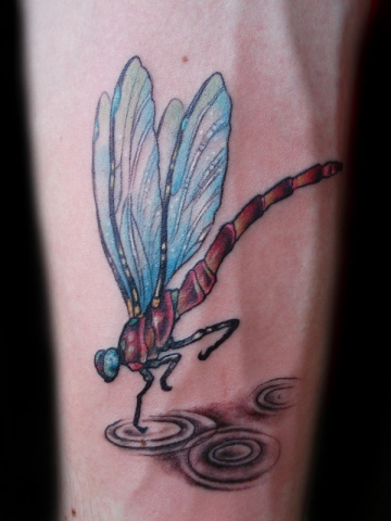 Dragonfly