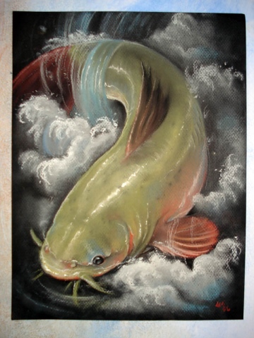 Catfish