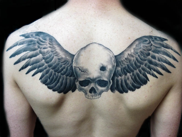 Skull and Wings