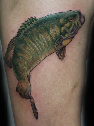 Bass