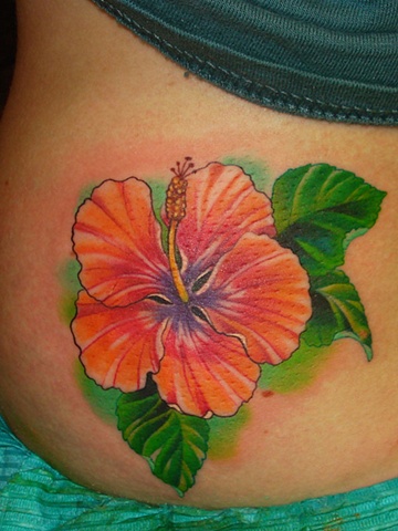 Hibiscus