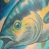 Tuna