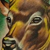 Jersey Buck