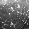 Snowflake Web