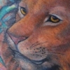 Lion Rework