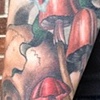 Crone Sleeve Skull and 'Shrooms