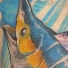Marlin close-up