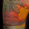 Sunset Half Sleeve