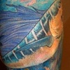 Sailfish