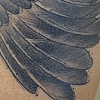 Wing
