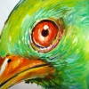 Keet