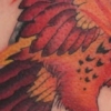 Circle Phoenix