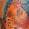 Koi