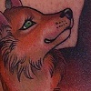 Foxy