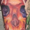 Music Skull