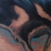 Manta Ray